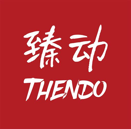 济宁网络公司靠谱臻动传媒