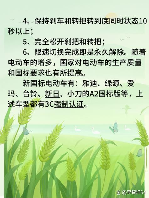 立马新国标电动车怎么解除车速限制缩略图