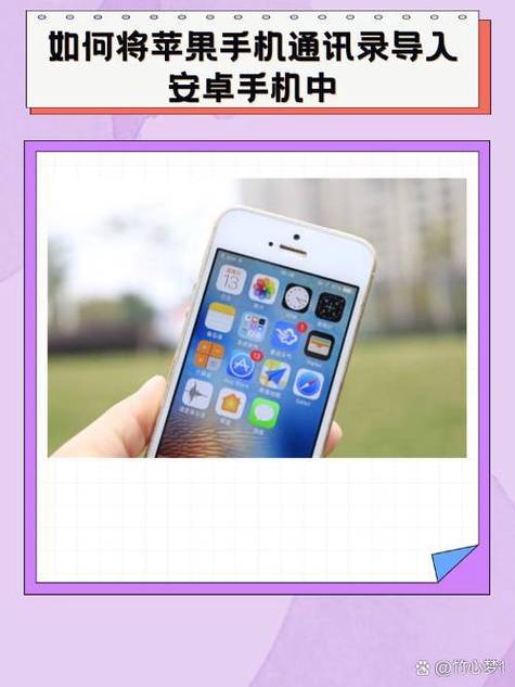 苹果手机通讯录怎么导入到新手机缩略图