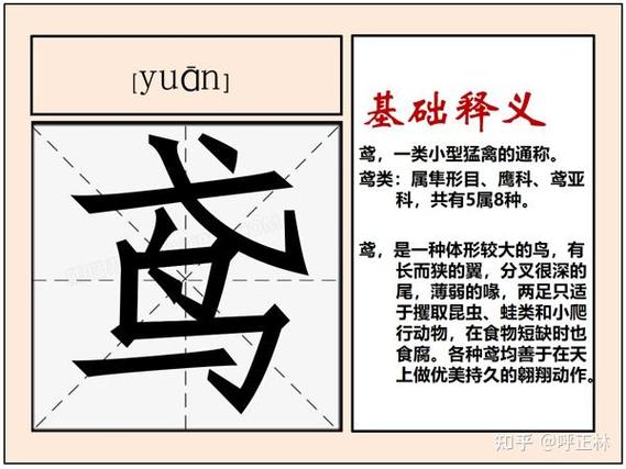 鸟字下面加一个几字念什么游戏截图