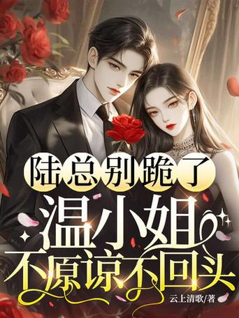 总裁别跪了夫人拒绝原谅图标