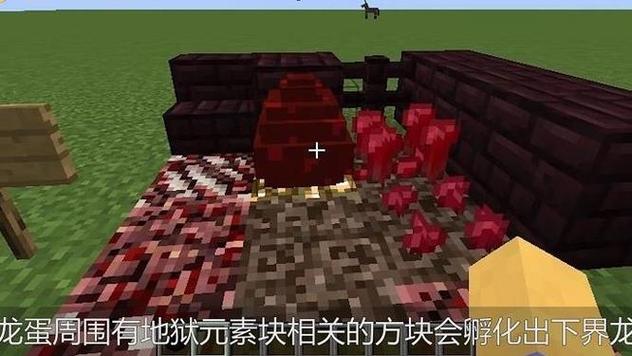 打完末影龙怎么拿蛋缩略图