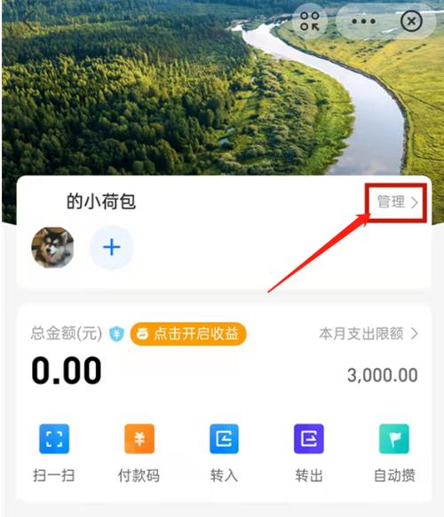 支付宝怎样修改转出金额限制缩略图