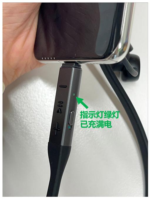 华为耳机可以用苹果充电器充电吗游戏截图