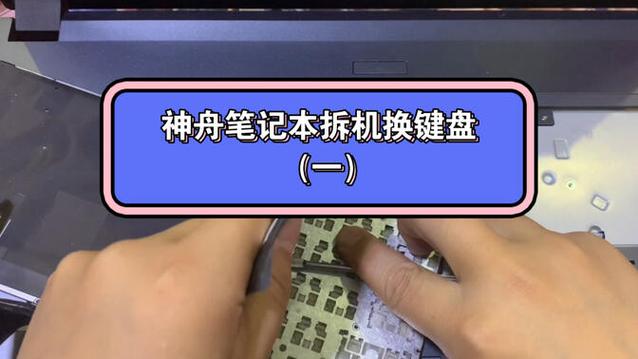 神舟笔记本电脑更换键盘的方法缩略图