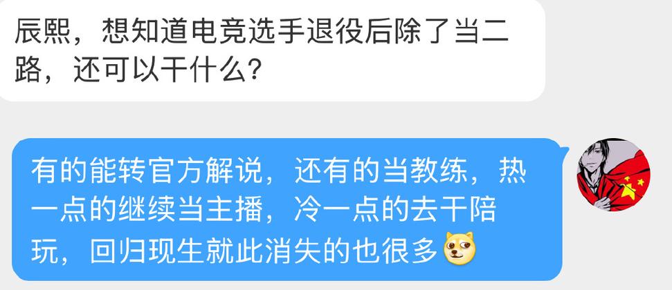 电竞选手退役后干什么缩略图