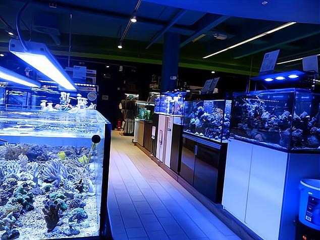 水族馆靠什么盈利缩略图