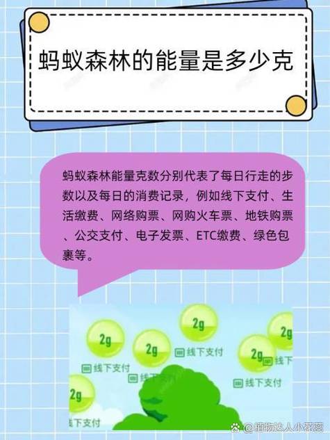 蚂蚁森林钉钉怎么产生能量游戏截图