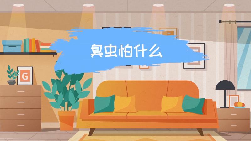 臭虫最怕什么东西呢缩略图