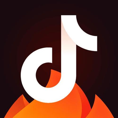 火山小视频app老版本图标