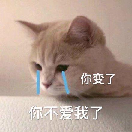 我不喜欢你了表情包提米版游戏截图
