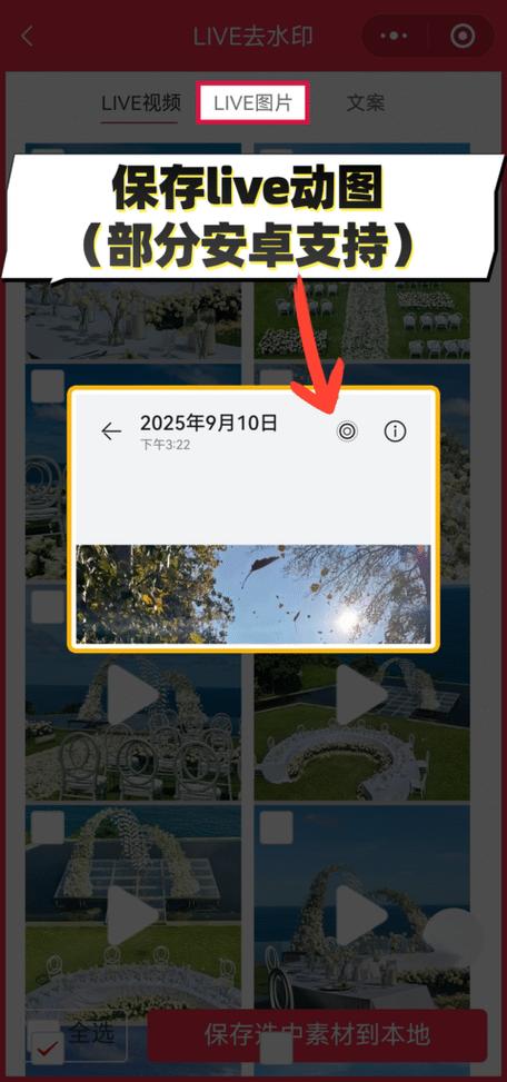 小红书live图怎么保存无水印游戏截图