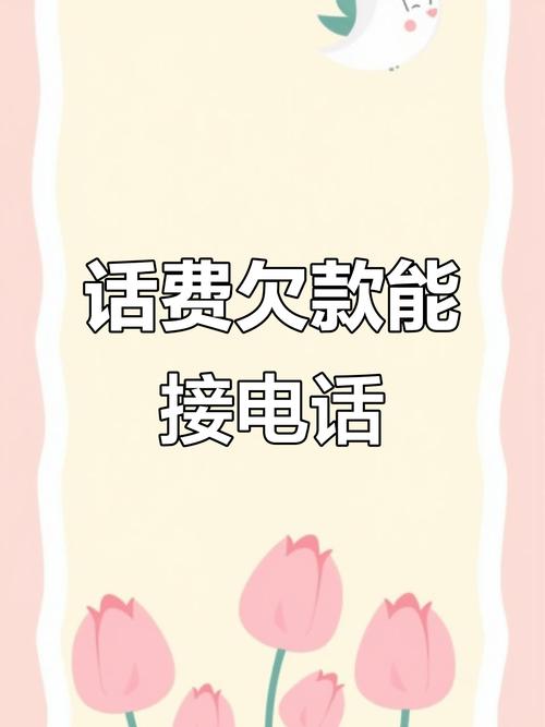 手机欠费了还能接电话吗游戏截图
