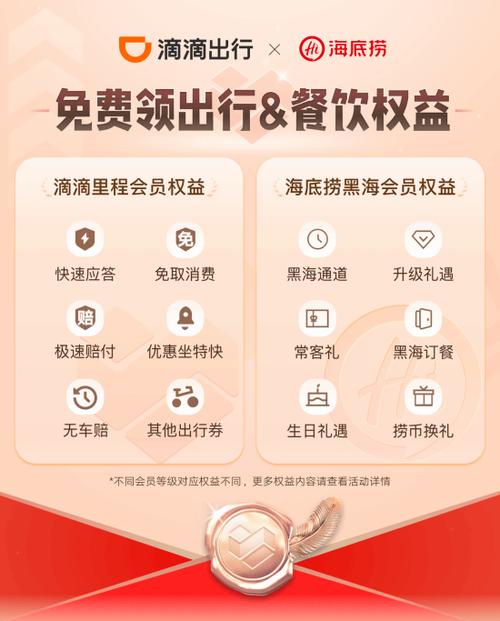 滴滴v7会员都是土豪吗缩略图