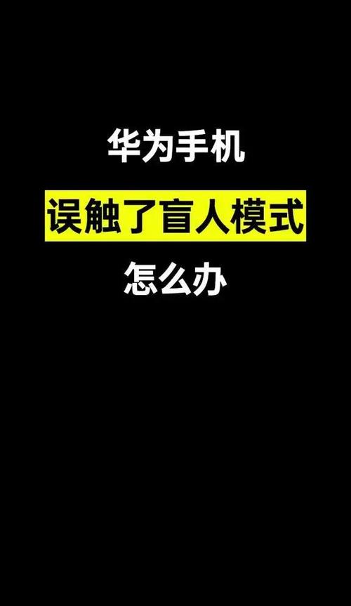 手机进入盲人模式怎么恢复图标