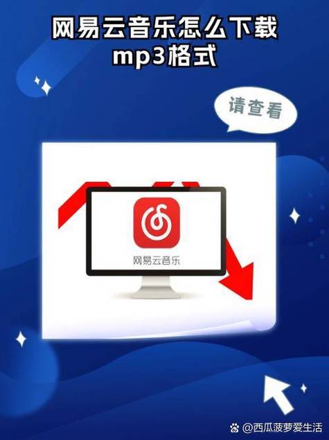 网易云歌曲怎么挣钱快缩略图