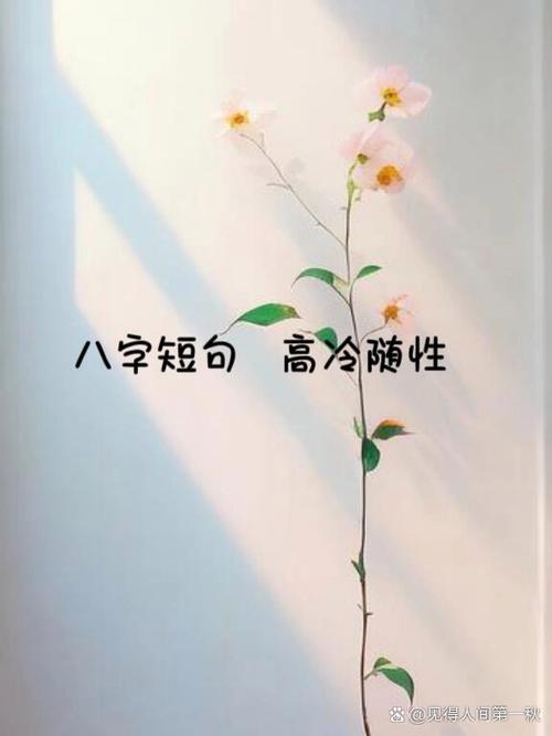 朋友圈文案高级短句
