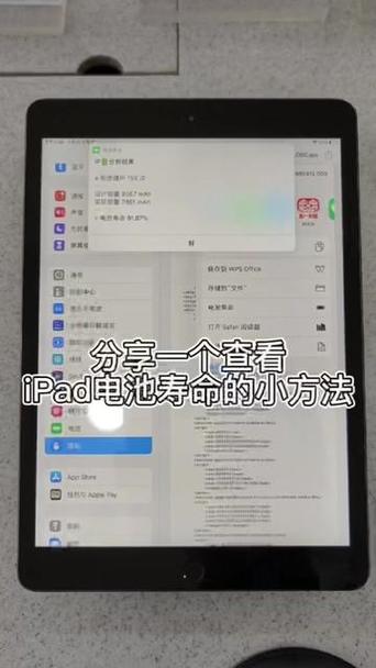 苹果平板如何查看电池健康度游戏截图