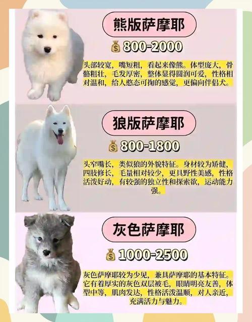 狗狗币今日最新行情图标