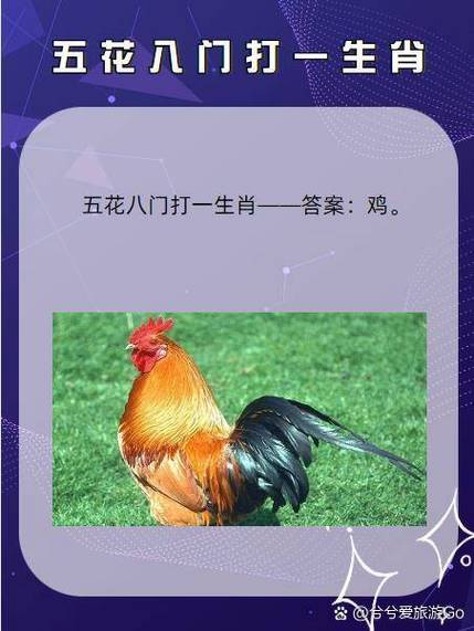 正确答案打一准确的生肖缩略图