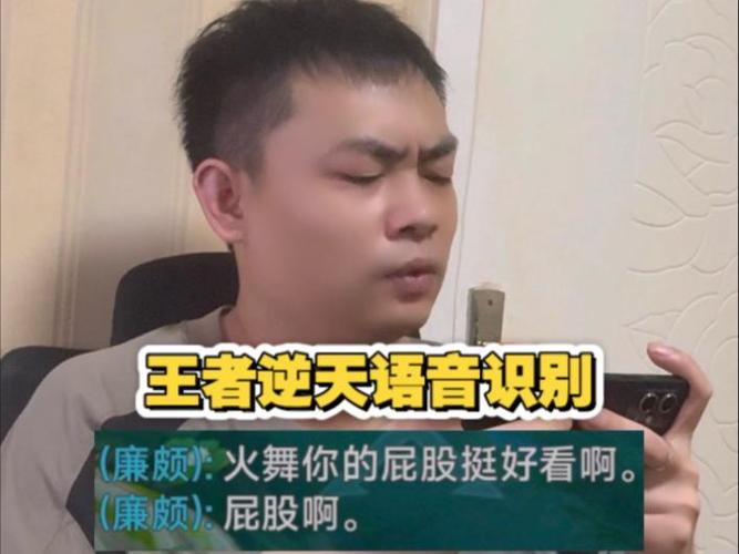 王者荣耀语音识别用不了了咋回事儿