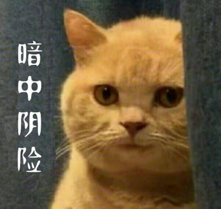支付宝好友暗中观察什么意思游戏截图