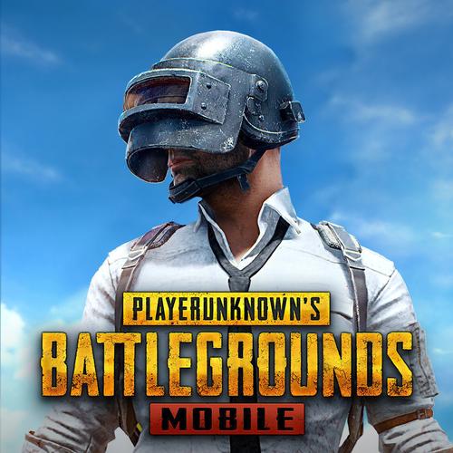 pubg国际服鸡仙画质助手