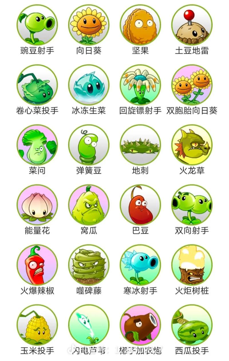 植物大战僵尸2国际版下载全植物解锁