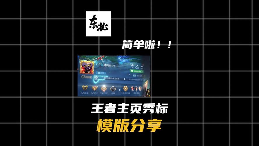 王者界面修改器软件下载(王者界面修改器软件下载安装)图标