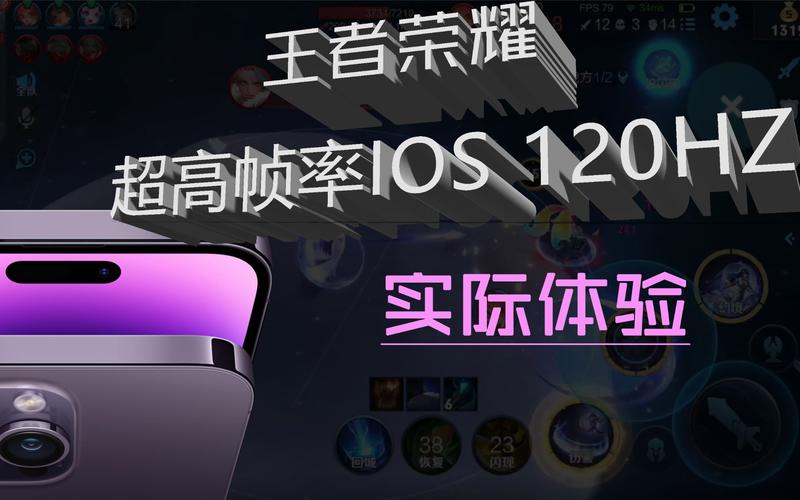 王者荣耀改帧率120hz软件苹果版游戏截图
