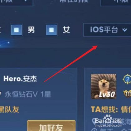王者荣耀怎么查找陌生人缩略图