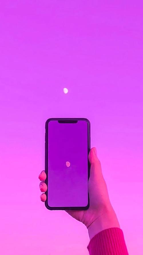 手机wifi跳过网页认证紫色版