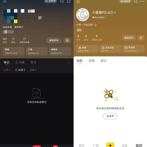 小蜜蜂打卡