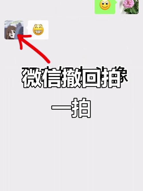 微信拍一拍怎么撤回?新版微信拍一拍撤回教程缩略图